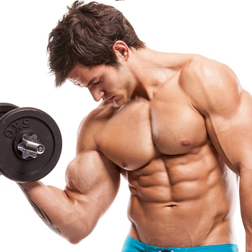 BCAAs and Muscle
