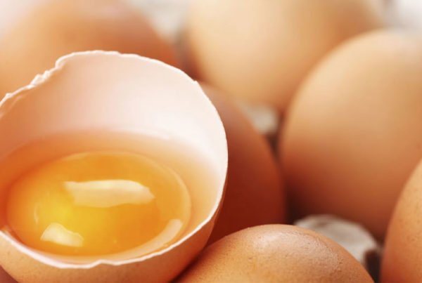 Whole Egg vs. Egg White