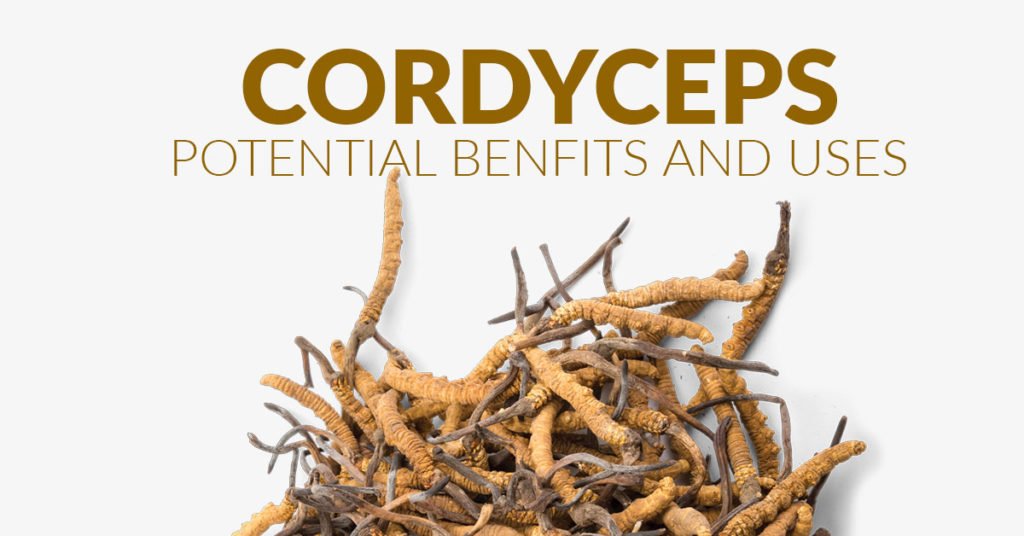 Cordyceps: Potential Benefits and Uses