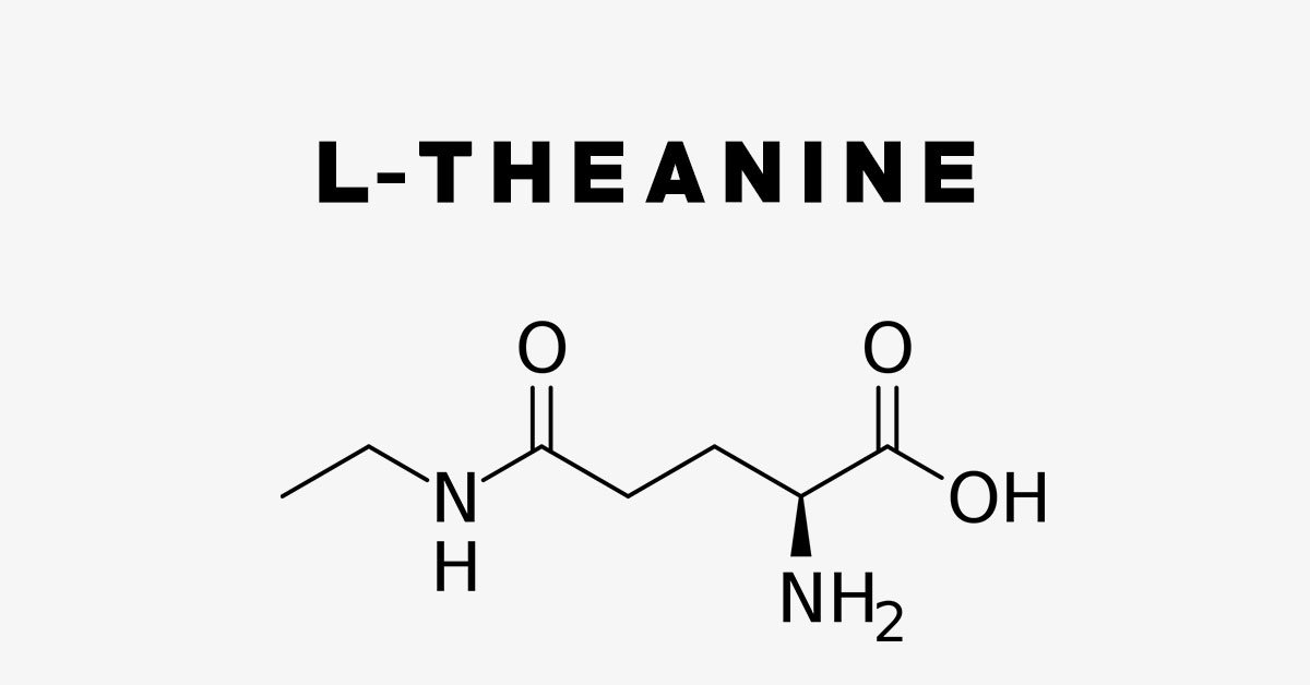 L-Theanine: Uses, Side Effects, Interactions, Dosage and Supplements