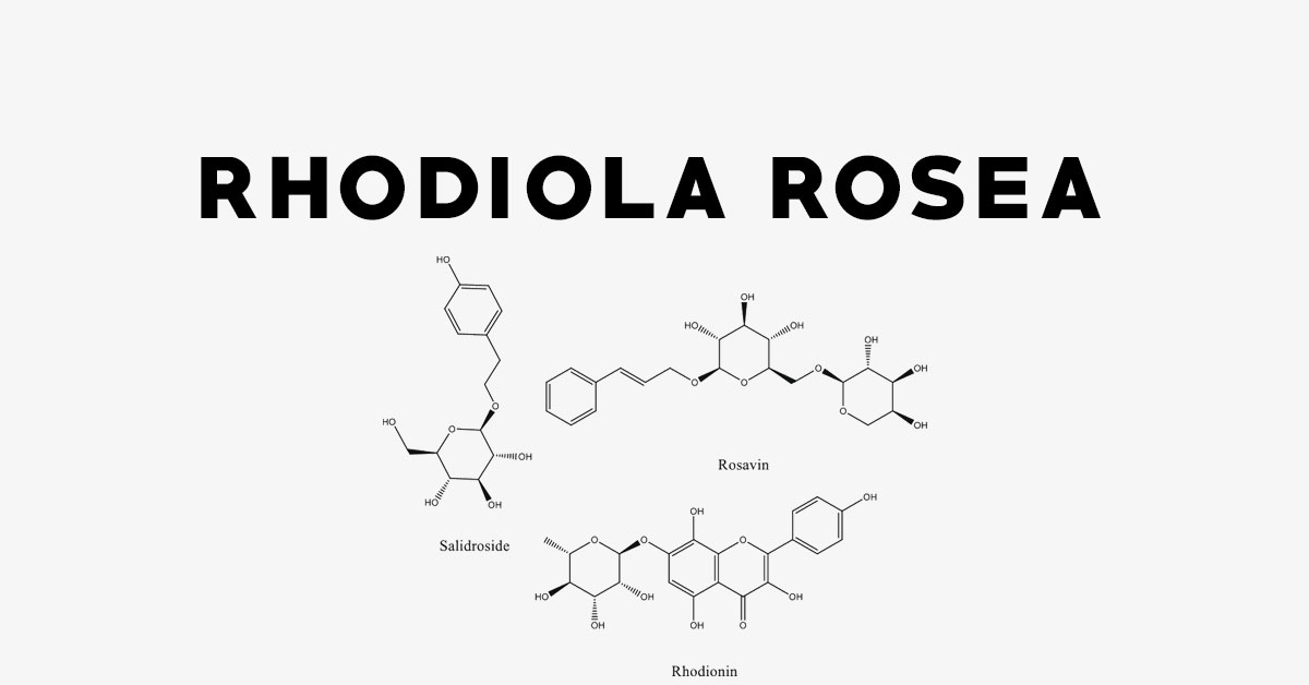 Rhodiola Rosea: Uses, Side Effects, Interactions, Dosage and Supplements