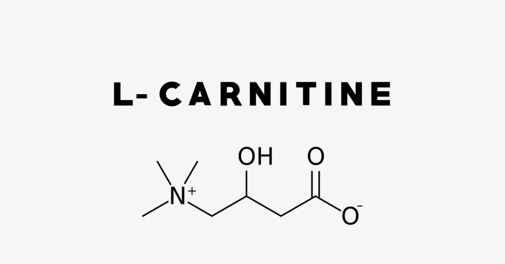 L-Carnitine: Uses, Side Effects, Interactions, Dosage and Supplements