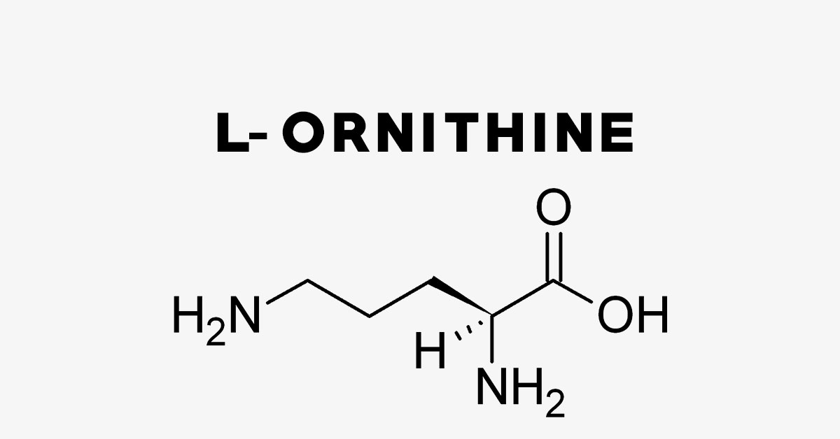 L-Ornithine: Uses, Side Effects, Interactions, Dosage and Supplements
