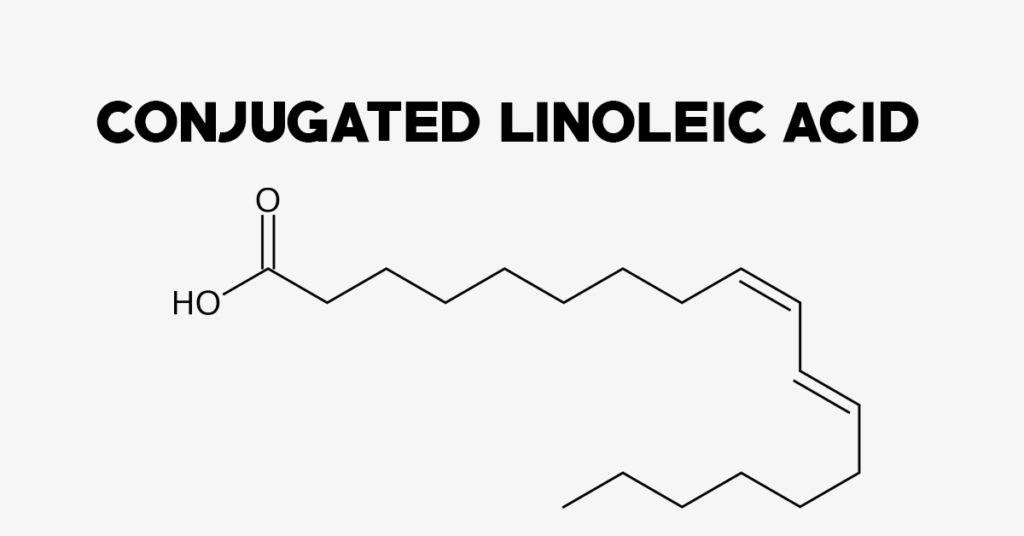 Conjugated Linoleic Acid (CLA) Uses, Side Effects, Interactions and Dosage