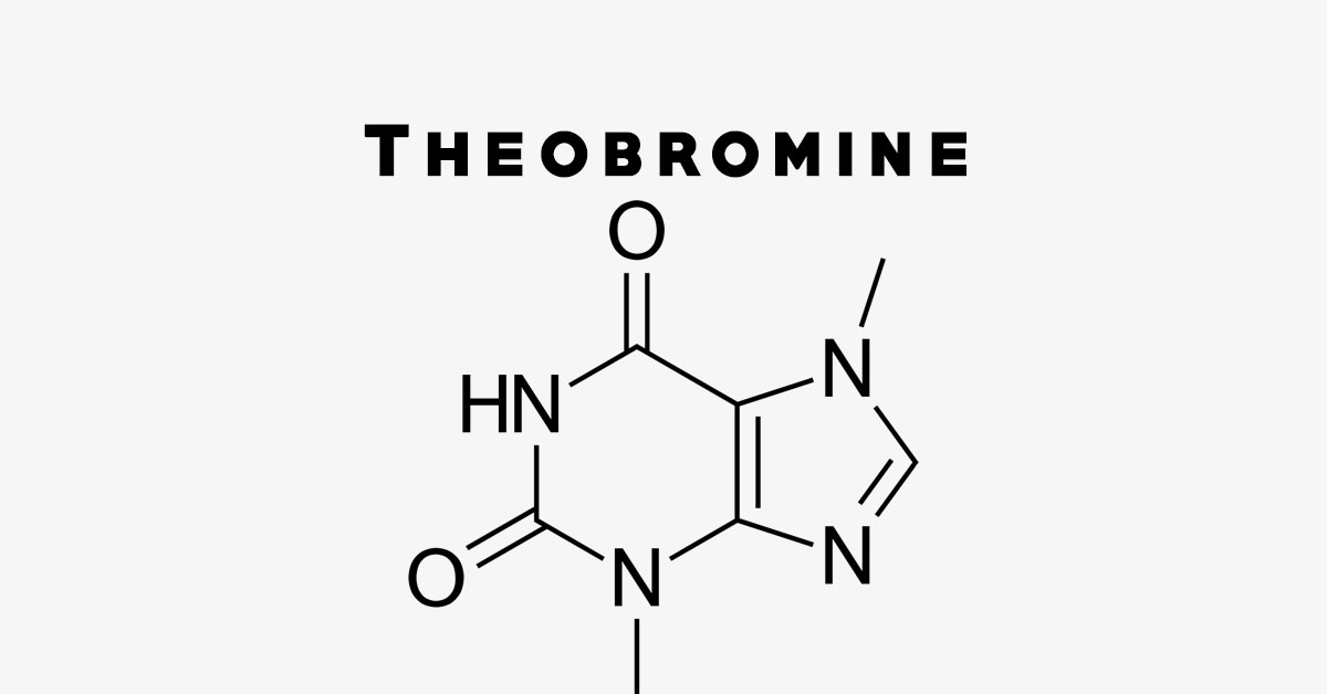 theobromine