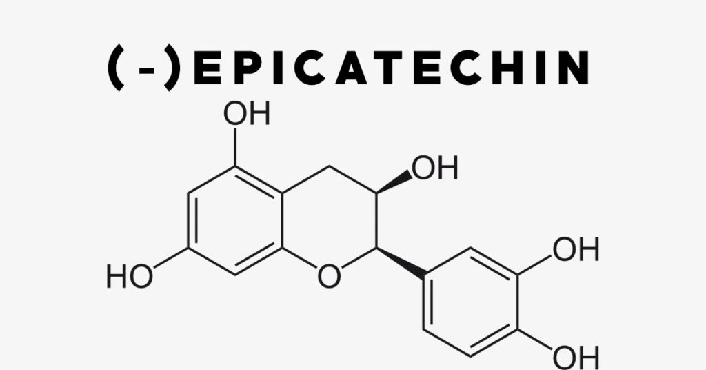 epicatechin-uses-side-effects-interactions-dosage-and-supplements