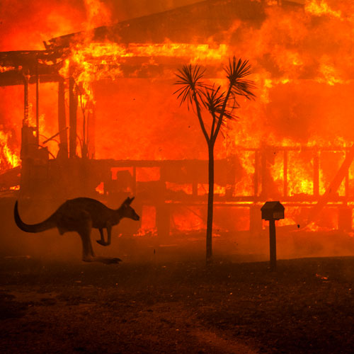 Australian Fires