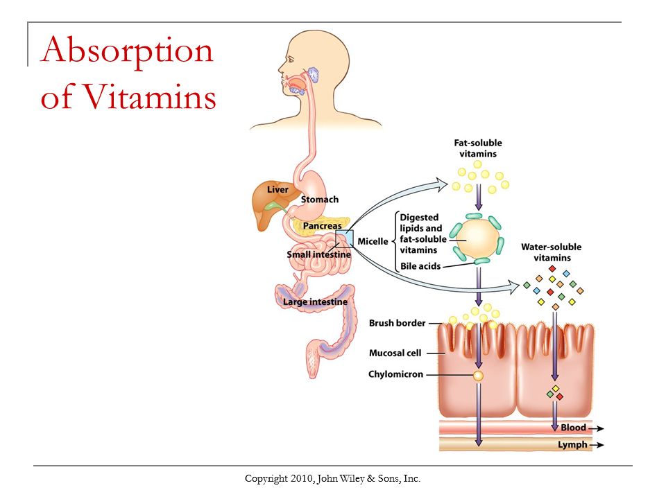 Fats and vitamin absorption
