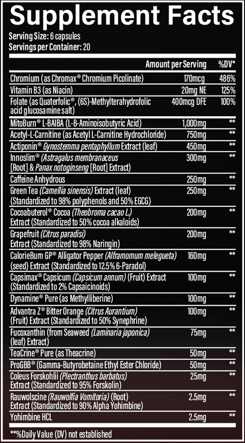 Infinis Nutrition Fat Burner SFP