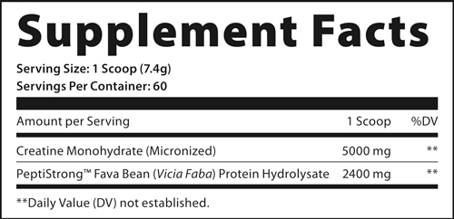 AN Performance Creatine + Peptide