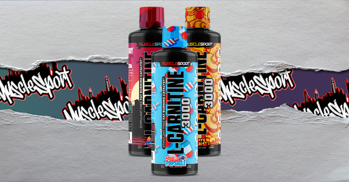 MSCarnitine3000