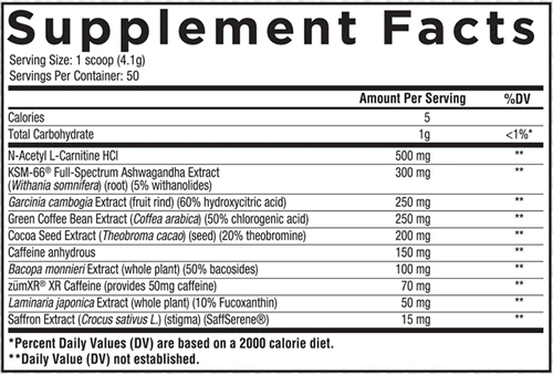 Core Nutritionals Burn SFP